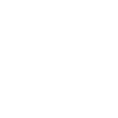 the evolution of the place logo